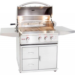 Blaze Professional 34-Inch 3 Burner Built-In Gas Grill With Rear Infrared Burner Review