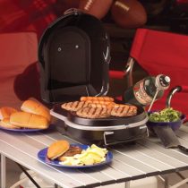 Gas Propane Grill Coleman Fold And Go Propane Grill