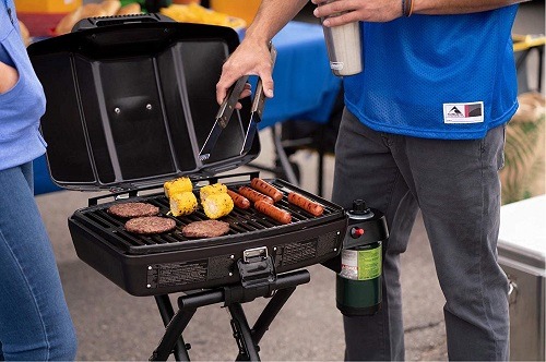 Coleman road trip Sportster propane grill
