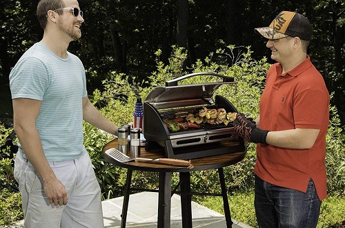 Cuisinart Grillster Gas Grill CGG-059 review