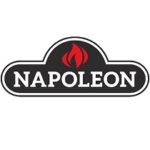 Napoleon Gas Grills & Parts Reviewed By Expert [BONUS GUIDE]