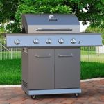 Stainless Steel Natural Gas-Propane Grill On Sale (3 Burner)